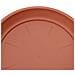 Vassoio Rotondo per Fiori 24 pcs Rosso Mattone Ø 23,5 x 2,5 cm - Foto miniatura 8