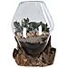 Terrario San Marino In Vetro A Cupola Su Base In Radice Di Teak 18x20 Cm - Foto miniatura 5