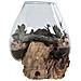 Terrario San Marino In Vetro A Cupola Su Base In Radice Di Teak 18x20 Cm - Foto miniatura 6
