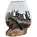 Terrario San Marino In Vetro A Cupola Su Base In Radice Di Teak 18x20 Cm - Foto miniatura 7