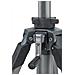 Treppiede senza Testa Altezza Max 162 cm Grigio 59356-EU - Foto miniatura 2