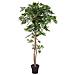 Ficus Longifolia, Artificial Plant, 165cm - Foto miniatura 1