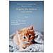 Rachel Wells - Il gatto che credeva nell'amore - Foto miniatura 1