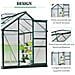 Serra da Giardino in Policarbonato Anti UV con Finestra e Porta Scorrevole, 190x252x201cm - Foto miniatura 4