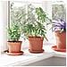 Vaso Rotondo per Fiori 24 pcs Rosso Mattone Ø 15 x 12 cm - Foto miniatura 4