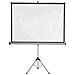 Schermo per Videoproiettore Bianco e Grigio Pvc 4:3 1902397 - Foto miniatura 4