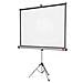 Schermo per Videoproiettore Bianco e Grigio Pvc 4:3 1902397 - Foto miniatura 1
