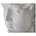 Scultura Testa Antica Bianca Cm 44x35,5x60 - Foto miniatura 3