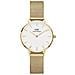 Orologio Da Donna Dw00100350 - Petite Evergold 28mm - In Attesa Di Arrivo - Foto miniatura 3
