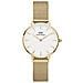 Orologio Da Donna Classic Petite Evergold 28mm Dw00100350 - Foto miniatura 1