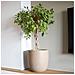 Fioriera Rotonda Waste Smooth 35x34 Cm Beige Terrazzo - Foto miniatura 3