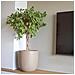 Fioriera Rotonda Waste Smooth 35x34 Cm Beige Terrazzo - Foto miniatura 4