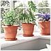 Vasi per Piante 6 pcs Rosso Mattone Ø 26 x 21.5 cm Plastica - Foto miniatura 4