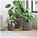 Cesto per Piante 3 pcs Grigio Kubu Rattan Kubu - Foto miniatura 2