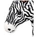 Zebra in Peluche in Piedi Nera e Bianca XXL - Foto miniatura 2