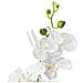 Orchid, Artificial Plant, White, 80cm - Foto miniatura 2