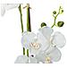 Orchid, Artificial Plant, White, 80cm - Foto miniatura 3