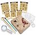 Science Discovery Kit - Kit Dell'insetto Strisciante - Foto miniatura 2