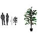K700136 - Indoor - Knstlicher Baum - Ficus - Mehrfarbig - Polyester - Holz - Bro (pafic120) - Foto miniatura 3