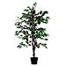 K700136 - Indoor - Knstlicher Baum - Ficus - Mehrfarbig - Polyester - Holz - Bro (pafic120) - Foto miniatura 2