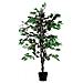 K700136 - Indoor - Knstlicher Baum - Ficus - Mehrfarbig - Polyester - Holz - Bro (pafic120) - Foto miniatura 1