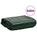 Telone Verde 5x6 M 650 G /m - Foto miniatura 2