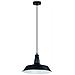 Lampada Soffitto Antiq Nero Con Paralume - Foto miniatura 1