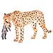 387167 Female Cheetah With Cub - International Wildlife Realistico Toy Replica - Nuovo Per Il 2014! Da - Wildlife - Foto miniatura 1