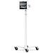MCRSTDEXW13PAPX4W Supporto Antifurto Per Tablet 33 cm (13") Bianco - Foto miniatura 1