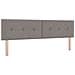 Letto con contenitore LED e materasso Tortora 180 x 200 cm - Foto miniatura 5