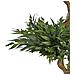 Pianta Artificiale In Vaso 166 Cm Ruscus Tree - Foto miniatura 2