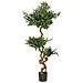Pianta Artificiale In Vaso 166 Cm Ruscus Tree - Foto miniatura 3