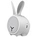 AV-SP3401R altoparlante portatile e per feste Altoparlante portatile mono Bianco 5 W - Foto miniatura 1