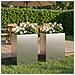 Vaso da giardino 2 pz Argento 40 x 20 x 40 cm Acciaio Inox - Foto miniatura 2