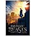 Puzzle Fantastic Beast - New York - Foto miniatura 1