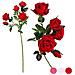 Mazzo Da 5 Rose Rosa 112994 (60 Cm) Bianco - Foto miniatura 1