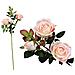 Mazzo Da 5 Rose Rosa 112994 (60 Cm) Bianco - Foto miniatura 3