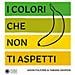 Jason Fulford - I colori che non ti aspetti. Ediz. a colori - Foto miniatura 1