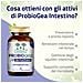 Probiogea Intestino Salugea 60 Capsule - Foto miniatura 2