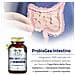 Probiogea Intestino Salugea 60 Capsule - Foto miniatura 6