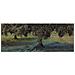 Rete 6x12 m telo antispina con angolo rinforzato ideale per raccolta olive - Foto miniatura 3