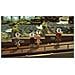 Animal Crossing: New Horizons- Switch 2 Ed - Foto miniatura 2