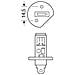 Oa64155ltsbli1 24v Truckstar H1 70w P14,5s 1 Pz Blister - Foto miniatura 2