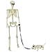 Decorazione Halloween: scheletro con cane 2 pcs Bianco 155 cm - Foto miniatura 1