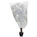 Coperture Con Coulisse Per Piante 8pz 70 G /m 0,8x1,2 M - Foto miniatura 2