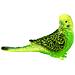 Animali Uccelli Pappagallo Ondato Verde 10cm. 69381 - Foto miniatura 1