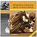 Gaetano Cocco - Effetto moto. Dinamica e tecnica della motocicletta - Foto miniatura 1