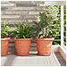 Vassoio Rotondo per Fiori 6 pcs Rosso Mattone Ø 21,5 x 2,5 cm - Foto miniatura 2