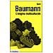 Gerd Baumann - L'enigma multiculturale. Stati, etnie, religioni - Foto miniatura 1