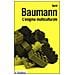 Gerd Baumann - L'enigma multiculturale. Stati, etnie, religioni - Foto miniatura 2
